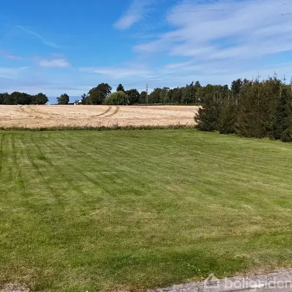 En velplejet græsplæne strækker sig mod en gylden mark i baggrunden. Til højre er der en række træer. Himlen er klar med lette skyer.
