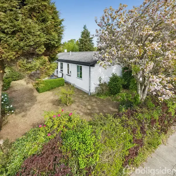 Huset står i en have med blomstrende træer og tæt buskads. Udendørsarealet er prydet med grønne planter og omgivet af en sti, der fører forbi ejendommen i et roligt boligområde.