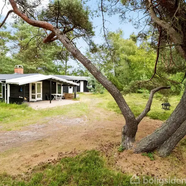 Et sort træhus står i skovklædt område med en stor træstamme forrest. Der er en grussti ved siden af huset, og i baggrunden ses grønne træer.