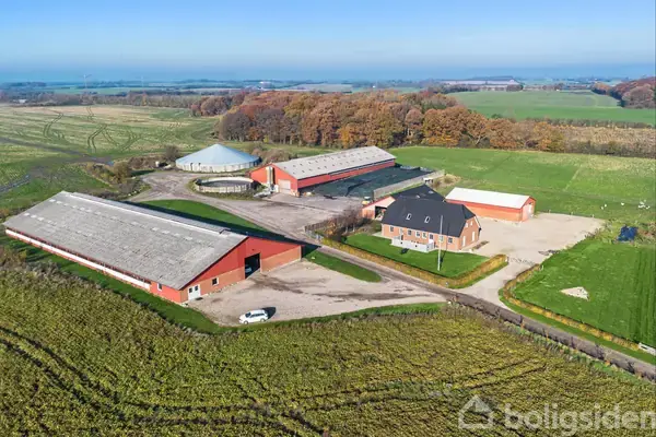 Kvæggård/-jord på Tingbjergvej 18, 6230 Rødekro