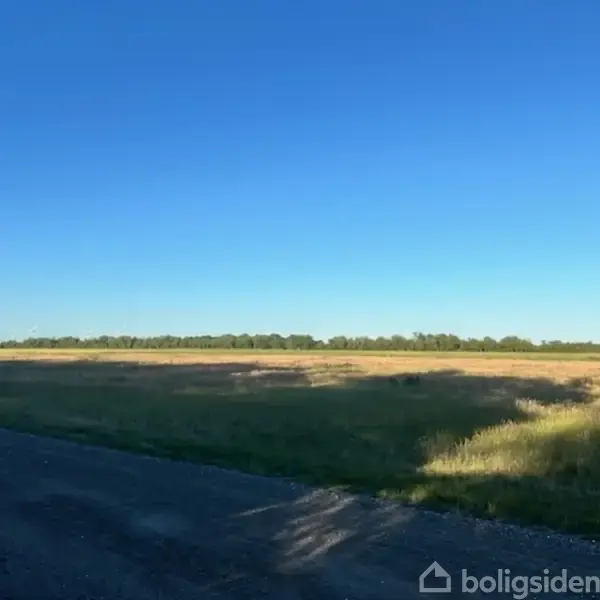 En flad, solbeskinnet mark strækker sig mod en klar blå himmel; en grusvej løber langs markens kant.