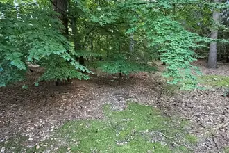 Fritidsgrund på Den lukkede vej 2, 3300