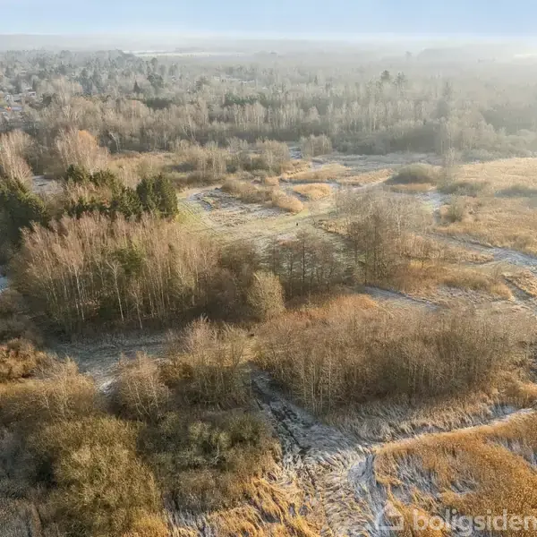 Et frodigt landskab med forskellige træer og buske dækket af frost, omgivet af åbne marker og en fjern udsigt til landsbyer under en klar, blå himmel.