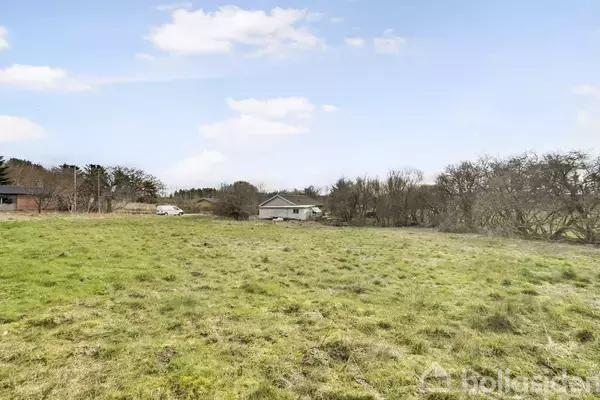 Græsmark med lavtliggende hus i baggrunden omgivet af træer og buske. Himlen er blå med enkelte skyer. En bil ses til venstre i billedet.