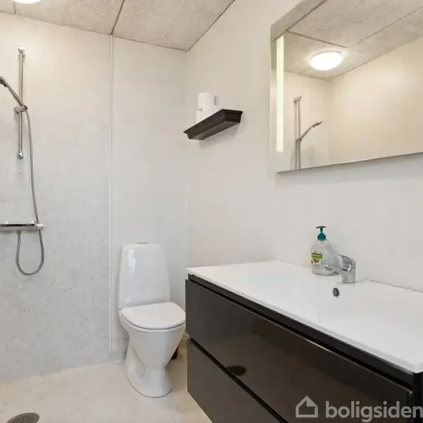 Badeværelse med brusebad til venstre, toiletkumme ved siden af, og håndvask på højre side. Væggene er lyse, og der hænger et spejl over håndvasken. Flaskesæbe står ved vasken.