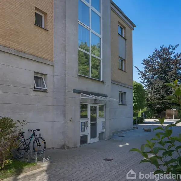 Bygning med store vinduer og en cykel parkeret foran indgangen. Sollys skinner på flisebelagt vej, omgivet af grønne buske og træer i en bymæssig baggård.