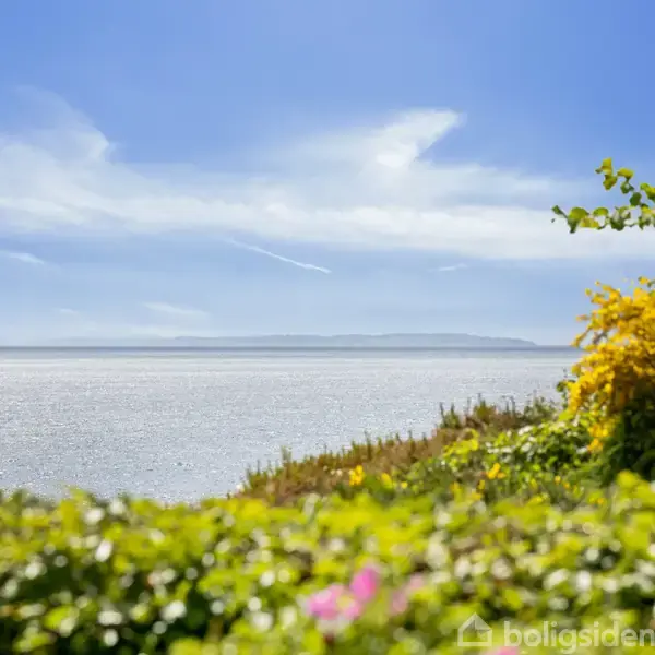 Havet strækker sig roligt under en klar blå himmel, omgivet af grønne buske og blomster i forgrunden. I det fjerne ses en lav horisont.