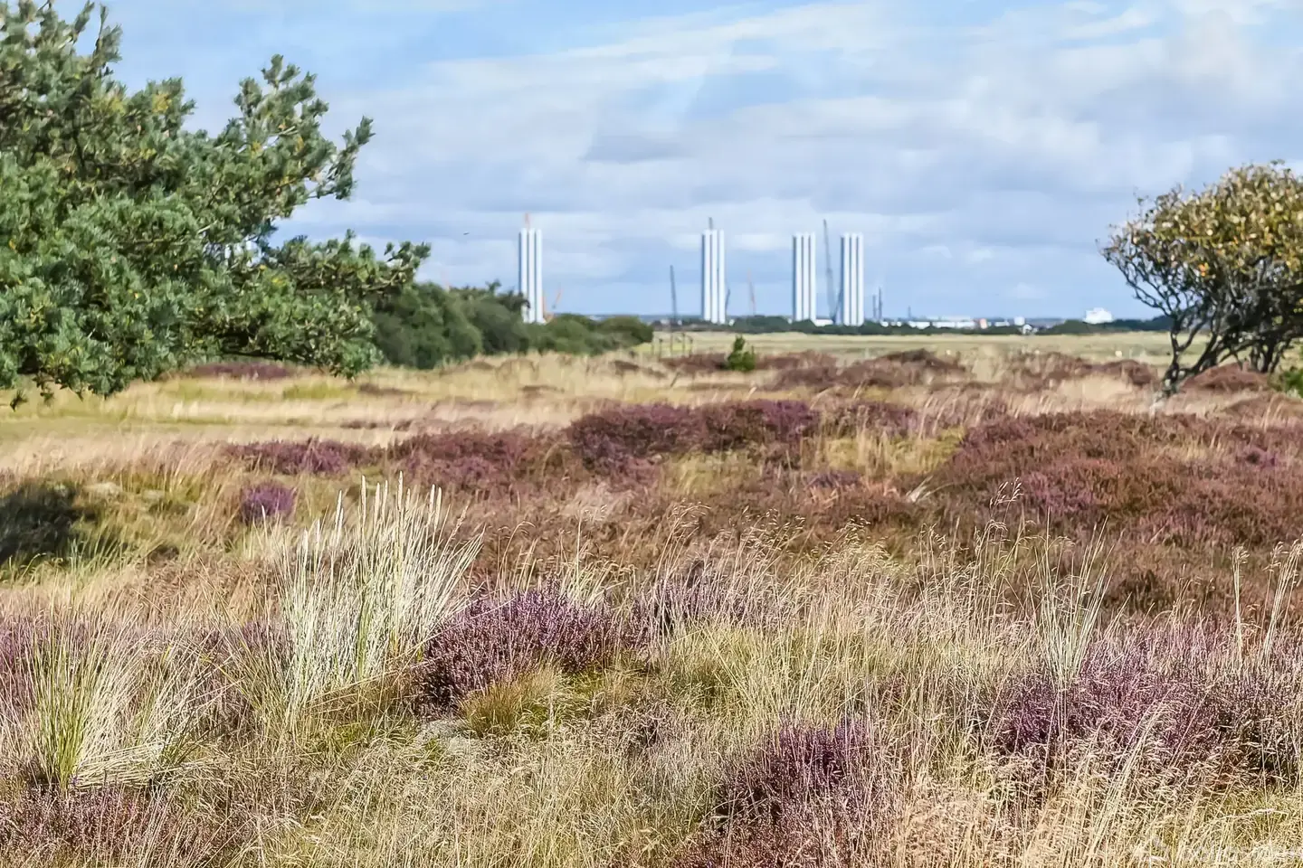 Villa på Hæsset 5, 6720 Fanø