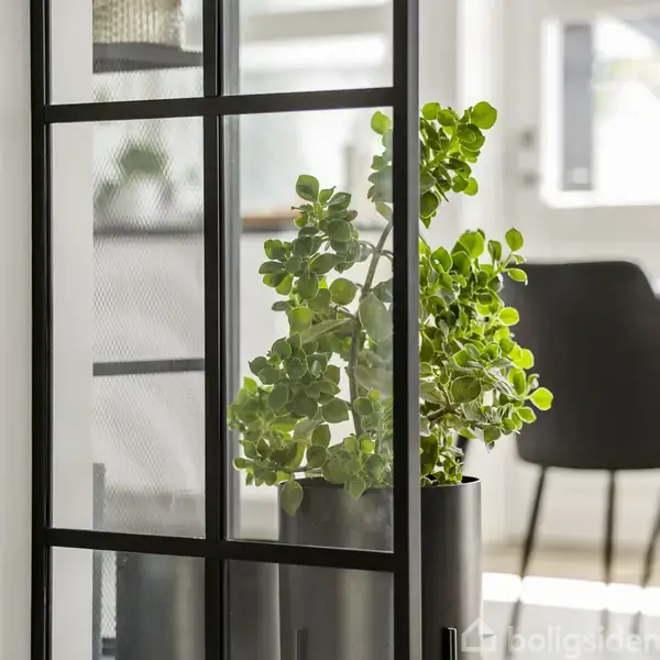 En grøn plante står i en sort potte foran en moderne glas- og metalreol. I baggrunden ses et lyst rum med bord og stole.