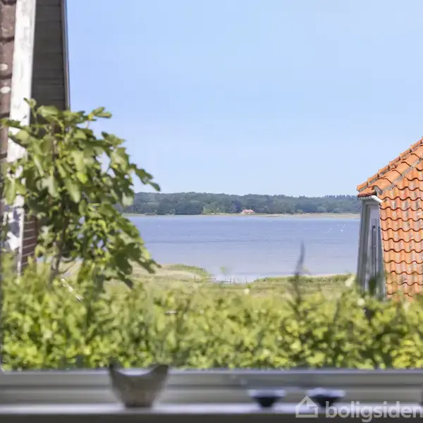 Et vindue indrammer en udsigt over en sø med vegetationen i forgrunden. Til højre ses et hus med rødt tegltag, og himlen er klar blå.