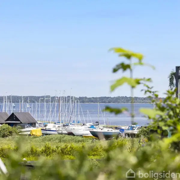 En række både ligger stationært ved en marina. I baggrunden ses en rolig vandflade og en skovklædt kystlinje. Forgrunden er domineret af frodig, grøn vegetation.