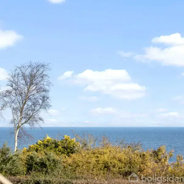 Træer står roligt foran en blå havudsigt under en klar himmel med skyer. I forgrunden ses buske og en vandret hvid struktur.
