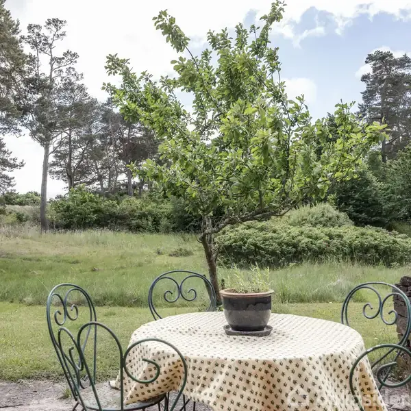 En rund havebord med en potteplante står på en terrasse. Bordet har en mønstret dug og stole omkring. Baggrunden er en grøn have med høje træer.