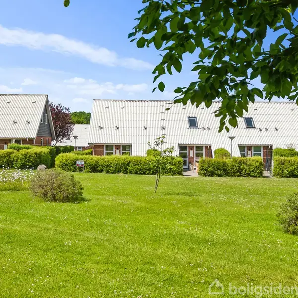 Rækkehuse står stille bag velholdte grønne buske med græsplæne i forgrunden. En trægren hænger over motivet, mens himlen er blå med enkelte skyer.