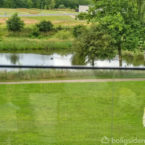 En grøn græsplæne foran en sø, omkranset af træer. I baggrunden ses marker og et hvidt hus. En blomst er i forgrunden til højre.