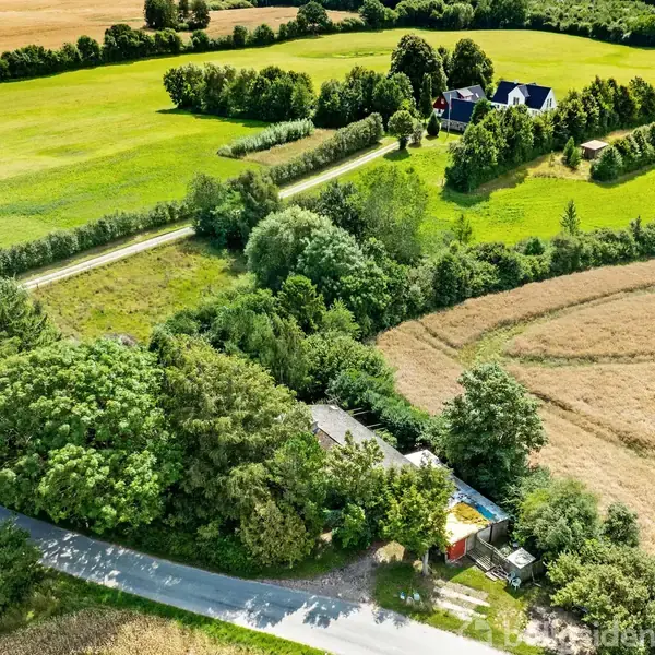 En landevej snor sig gennem et landligt landskab omgivet af frodige marker og en skov af træer. Et blåmalet hus og en gård står tæt på en åben, grøn mark.