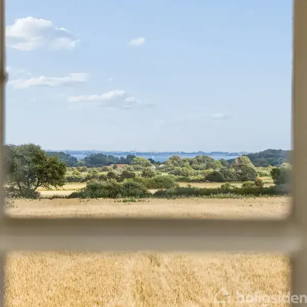 Et landskab ses gennem et vindue. En gul kornmark strækker sig mod horisonten, hvor spredte træer og buske fører til en blå himmel med enkelte skyer.
