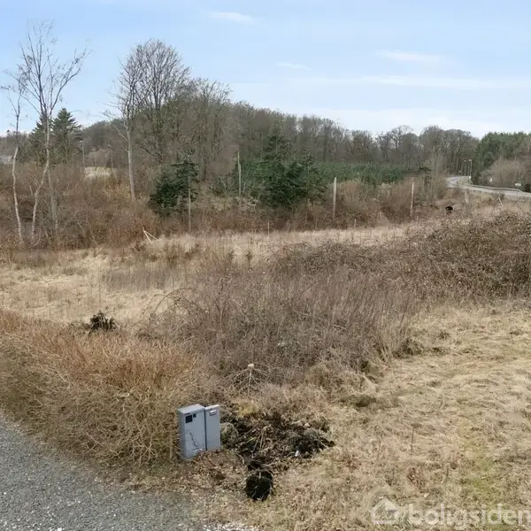 Grusbelagt vej fører til åbent areal med græsklædt og busket terræn. Omkringliggende natur med træer og en vej i baggrunden. Umgebung en markedsført fast ejendom.