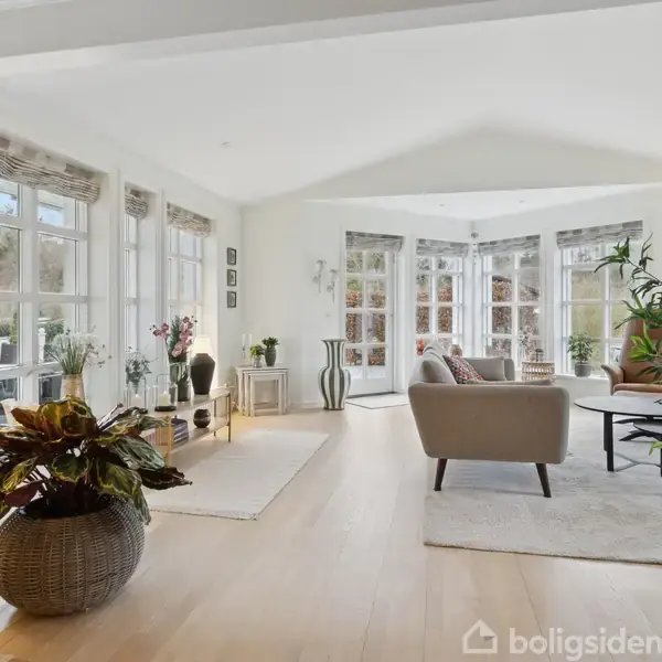 Stue med lys beige sofa og grønne planter placeret på lyst trægulv. Store vinduer tillader rigeligt dagslys. Lampen og tæpperne tilføjer hygge til det moderne rum.