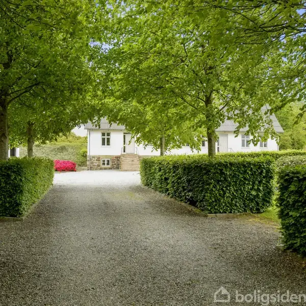 Stenbelagt indkørsel fører gennem grønt hækkeområde mod hvidt hus. Træer skaber en overdækket allée. Omkringliggende bygninger og vegetation giver landlig atmosfære.