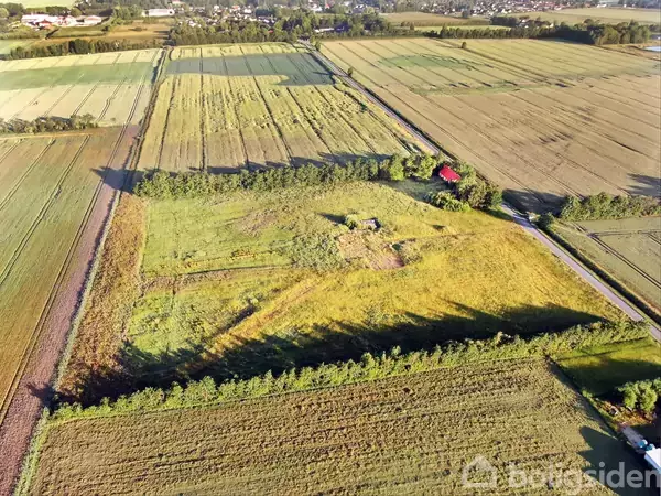 Markeret område, der er en del af en større landbrugsmark, omgivet af grønne træer med en lille rød bygning. Området ligger i et landligt landskab.