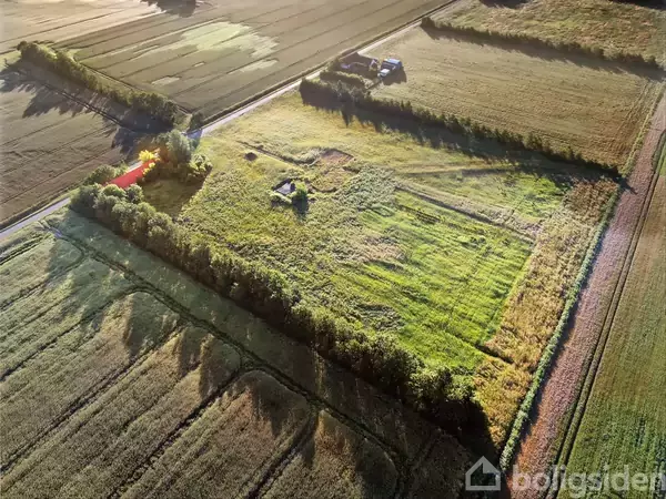 Luftfoto viser en mark omkranset af træer med en vej, der løber øverst. Omgivet af andre marker, med et rødt taghus i det venstre hjørne.