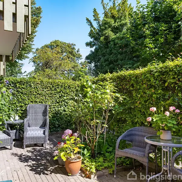 Terrasse med flettede stole og planter i potter på trædæk, omkranset af frodig hæk og træer under en blå himmel.