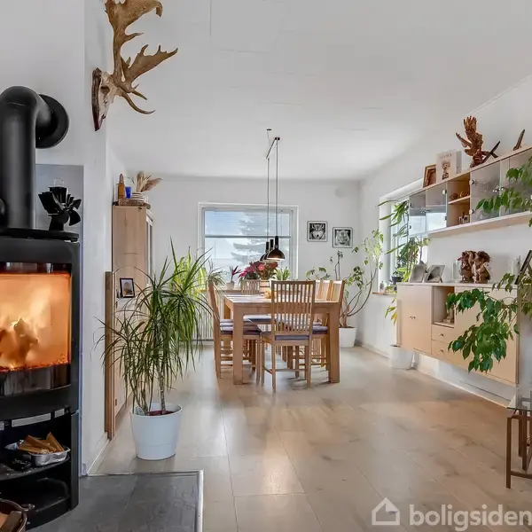 Brændeovn opvarmer stue med lyse trægulve og spisestue. Omkranset af planter, reoler og dekorationer. Store vinduer bag spisebordet giver naturligt lys til rummet.