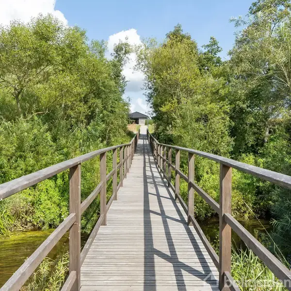 En træbro fører gennem frodig skov mod et hus i baggrunden, omgivet af grønne træer og vegetation, der skaber en fredfyldt, naturskøn atmosfære.
