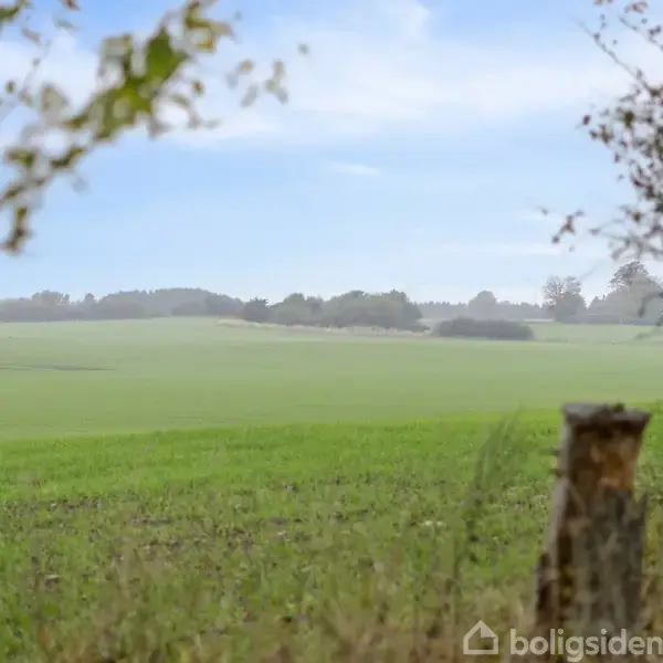 En grøn mark strækker sig i det fjerne, omkranset af træer og buske. Himlen er blå med få skyer, hvilket skaber en fredfyldt landskabsstemning.