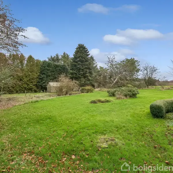 Græsplæne strækker sig udad, omkranset af buske og træer, i en åben have med en klar blå himmel i baggrunden.