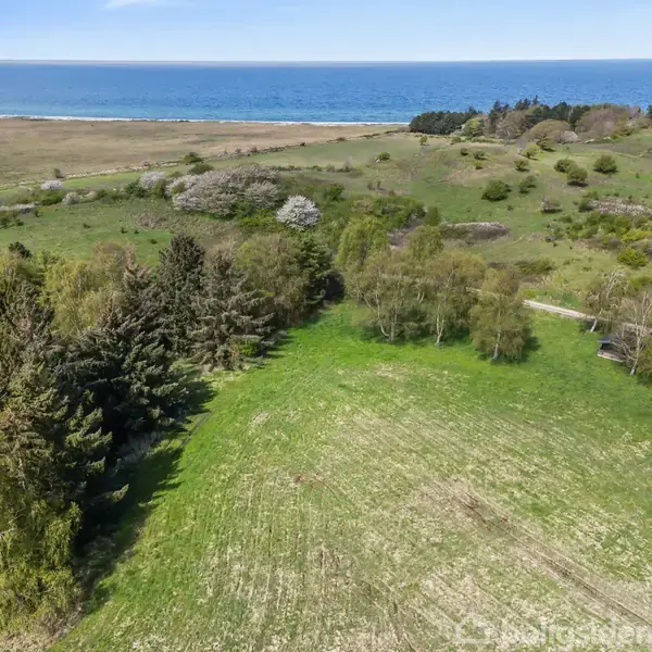 Grønt landskab omgivet af træer strækker sig mod havet i baggrunden under en klar blå himmel. Ingen tekst til stede.