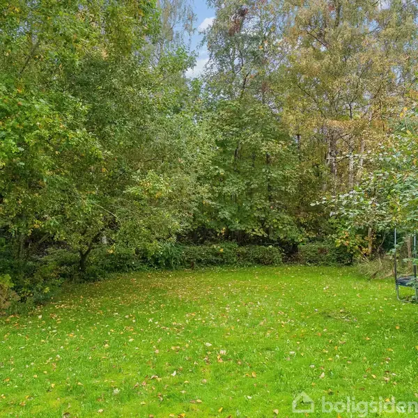 Græsplæne ligger stille omgivet af tæt, frodig vegetation. Træer og buske danner en grøn væg, mens enkelte faldne blade ses spredt på græsset.