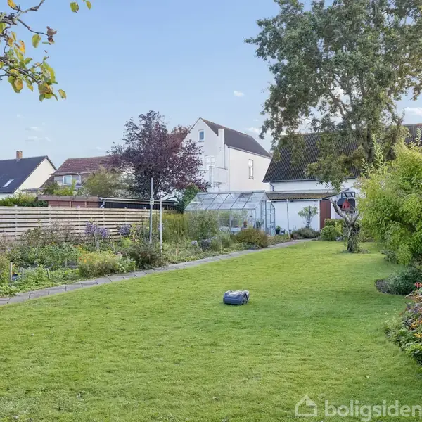 En robotplæneklipper opererer på en velholdt, grøn græsplæne omringet af forskellige buske og blomster. I baggrunden ses et drivhus og huse i et boligområde.