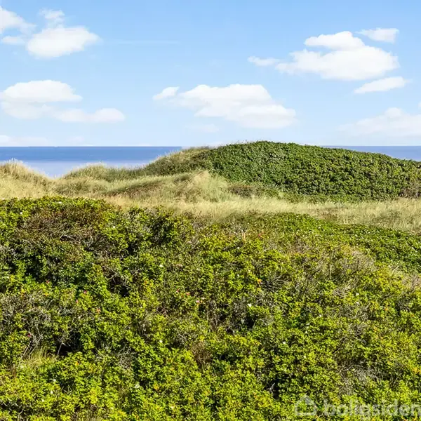 Grønne klitter strækker sig mod havet under en blå himmel med spredte, hvide skyer. Havet er synligt i baggrunden, hvilket indikerer en kystnær beliggenhed.