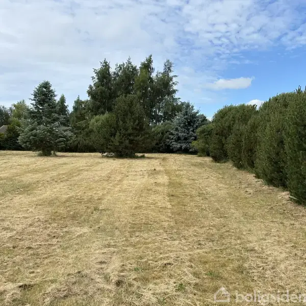 En åben græsplæne med tørret græs, omgivet af forskellige træer og buske. Himlen er delvist skyet, og der er en skovbevoksning i baggrunden.