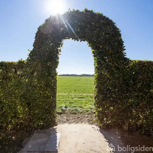 En bueformet hæk danner en åbning, der fører til en stor, grøn mark. Solen skinner klart fra en skyfri blå himmel.
