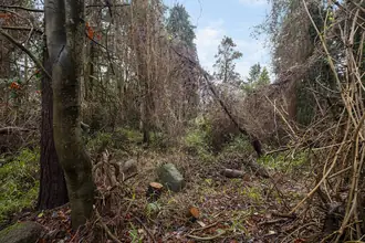 Helårsgrund på Bakkevej 7, Hareskov, 3500 Værløse