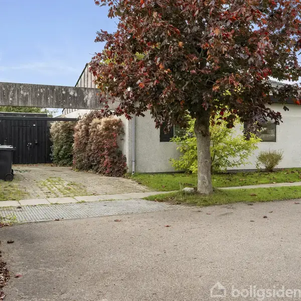 Et hvidt hus med garage ses fra vejen. En stor træ med røde blade står i forgrunden. Omgivet af buske og asfaltsti.