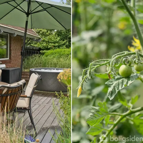 En terrasse med grill og stole under en parasol står på en træplatform ved et hus. Ved siden af ses en plante med små, grønne tomater i en frodig have.