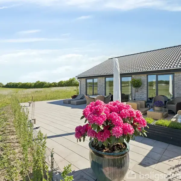 En moderne villa med store vinduer har en terrasse med loungemøbler. En stor krukke med lyserøde blomster står i forgrunden. Omgivet af åbne grønne marker under en klar blå himmel.