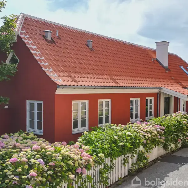 Rødt hus med skråt tag og hvide vinduer, omgivet af blomstrende hortensiaer og et hvidt stakit, beliggende i en solrig, grøn kvarter.