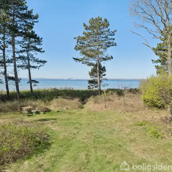 Græsplæne med picnicbord omgivet af træer og buske, med udsigt over vandet og en klar blå himmel. Der er ingen tekst i billedet.