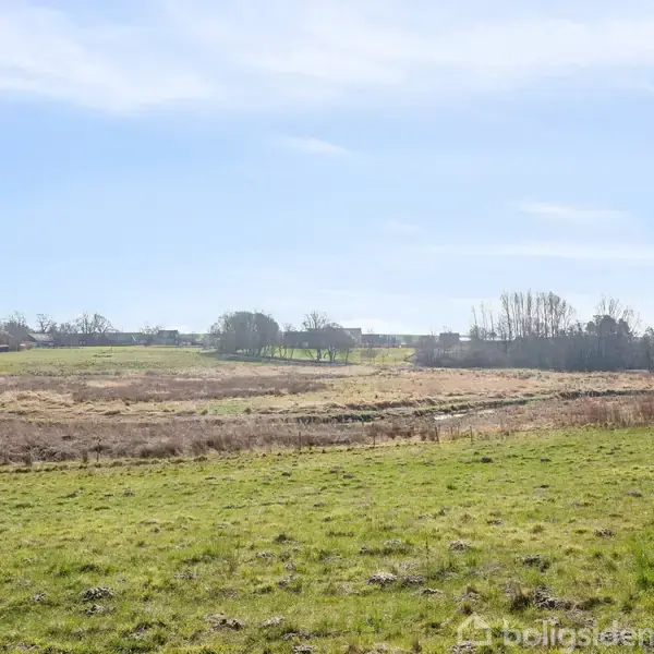 Grønt græsområde strækker sig ud i horisonten i åbent landskab; træer følger markens grænser under en klar blå himmel.