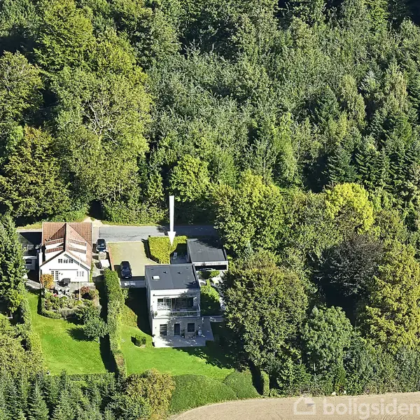 To huse ligger side om side omgivet af tæt skov og frodig vegetation. Den ene har rød tag, den anden fladt tag. En vej adskiller dem fra skoven bagved.