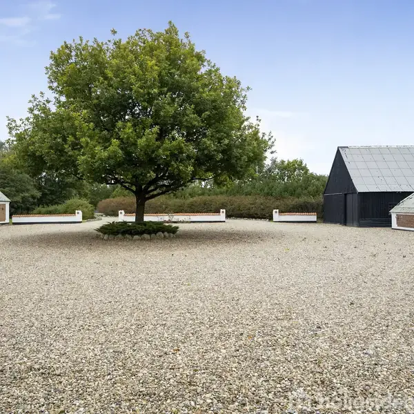 Et stort træ står i midten af en gårdsplads med grus. Omgivet af to bygninger med mørke tage og murstensvægge, under en blå himmel med skyer.