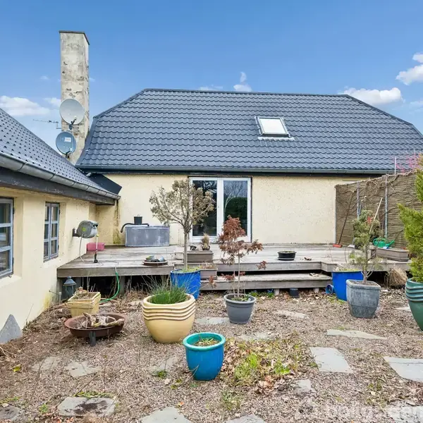 Terrasse med forskellige planter i krukker placeret på jorden og en træplatform. Baggrunden viser et gulmalet hus med mørkt tag og store vinduer under en blå himmel.