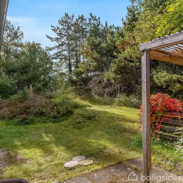 Et græsbeklædt haveområde med spredte buske og træer omkranser et hus og en pergola. Sollys filtrerer gennem trækronerne, og en terrasse ses til venstre.