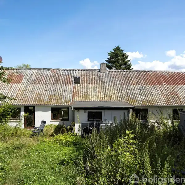 Et ældre hus med et rustent, bølgeformet tag står omkranset af tæt bevoksning og en græsplæne. Himlen er klar med spredte skyer.