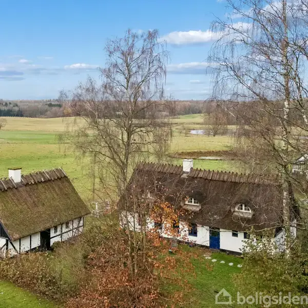 To stråtægte bindingsværkshuse står stille i en grøn, landlig eng omgivet af høje træer. Den åbne himmel udgør en rolig baggrund, mens en grusvej ses nær husene.